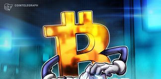 Top Altcoins to Watch in Bitcoin’s Bull Run