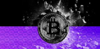 Domain Names in the Crypto World: What You Need to Know Now