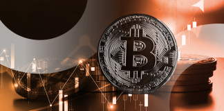 New Study Reveals Surprising Trends in Digital Asset Investments